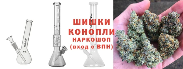 шишки Белокуриха