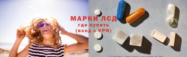 шишки Белокуриха