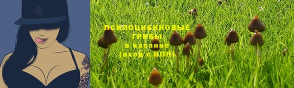MDMA Белоозёрский